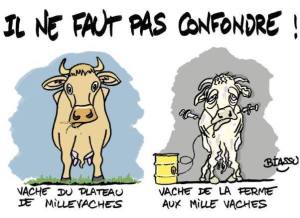 Mille-Vaches