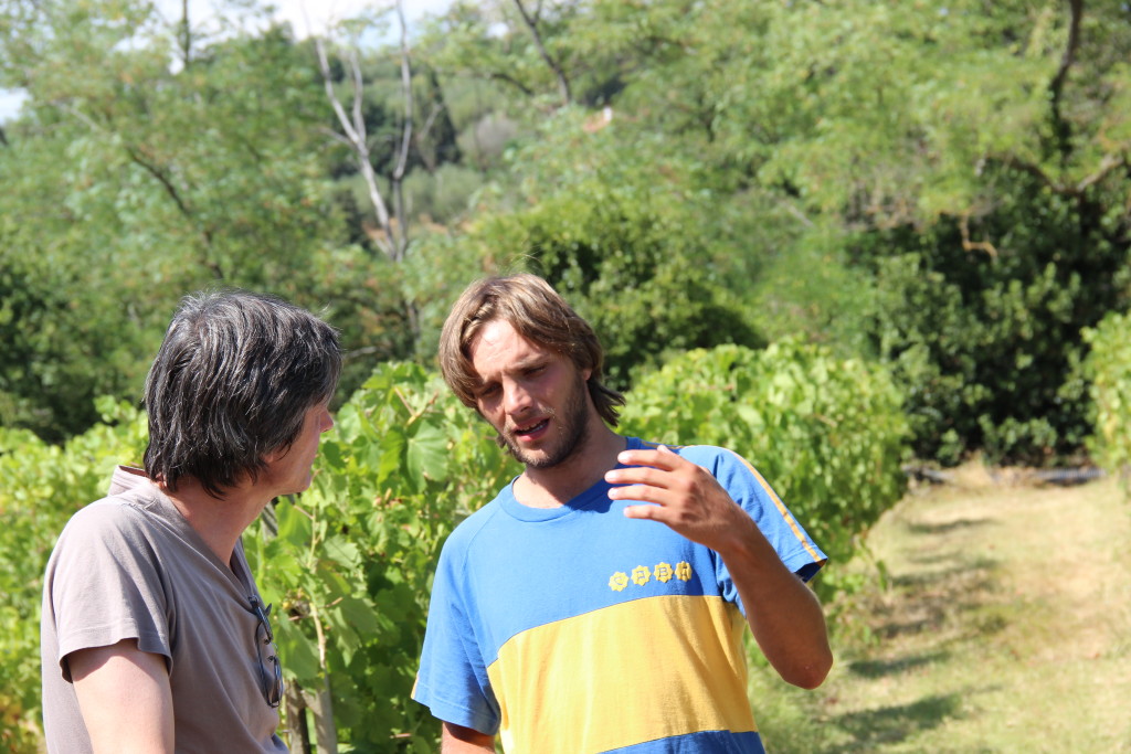 L’azienda agricola Sorelle Palazzi (Toscane) a été fondée en 1973 par la tante de Guido Beltrami. vignoble (Chianti, Vin de Toscan, vin Santo) et oliveraie.